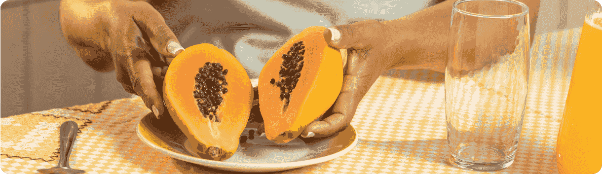 Alimentação